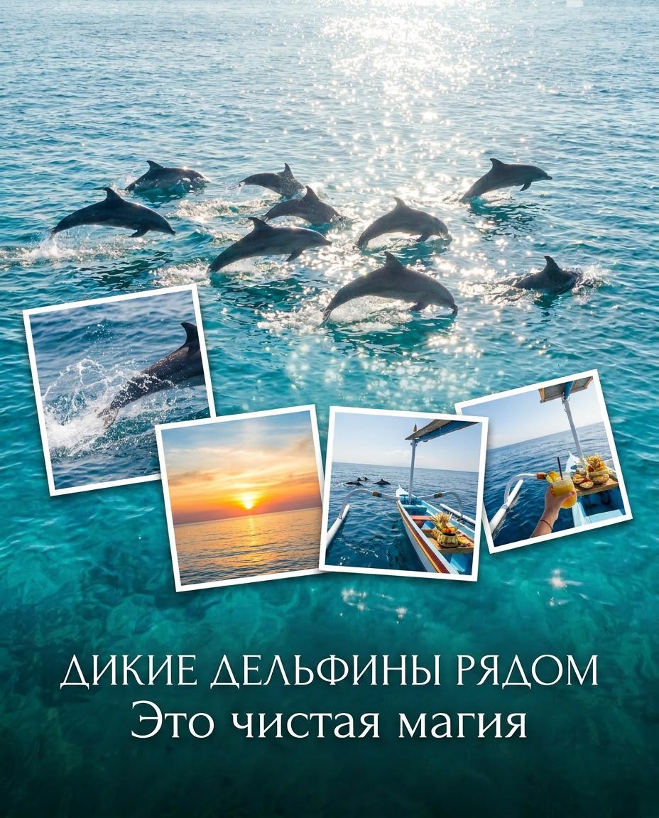 Дикие дельфины в океане