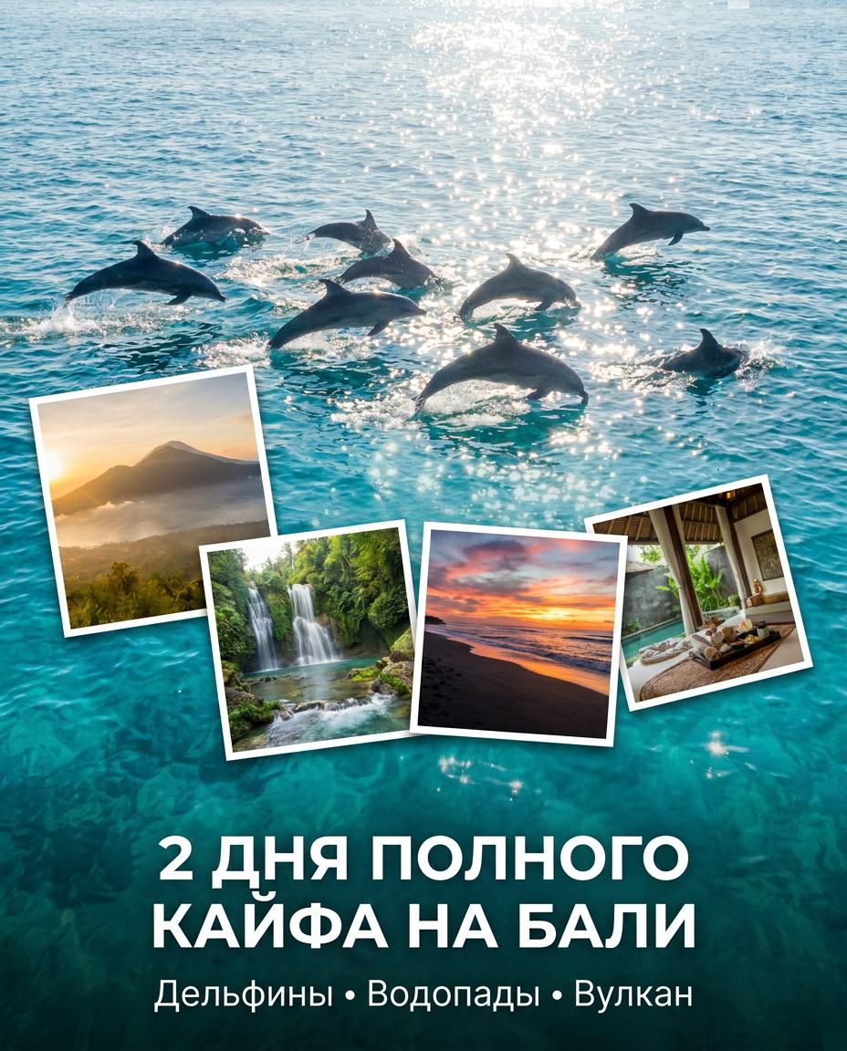 Два дня кайфа на Бали с дельфинами