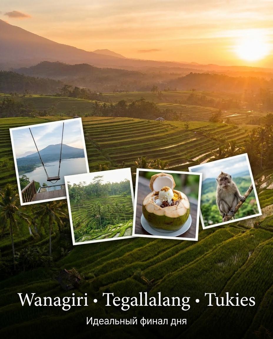 Виды Wanagiri, рисовые террасы Tegallalang и кокосовый десерт Tukies